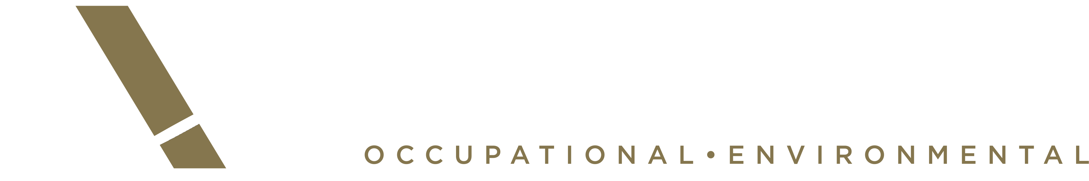 Wohlers Aerospace Medicine